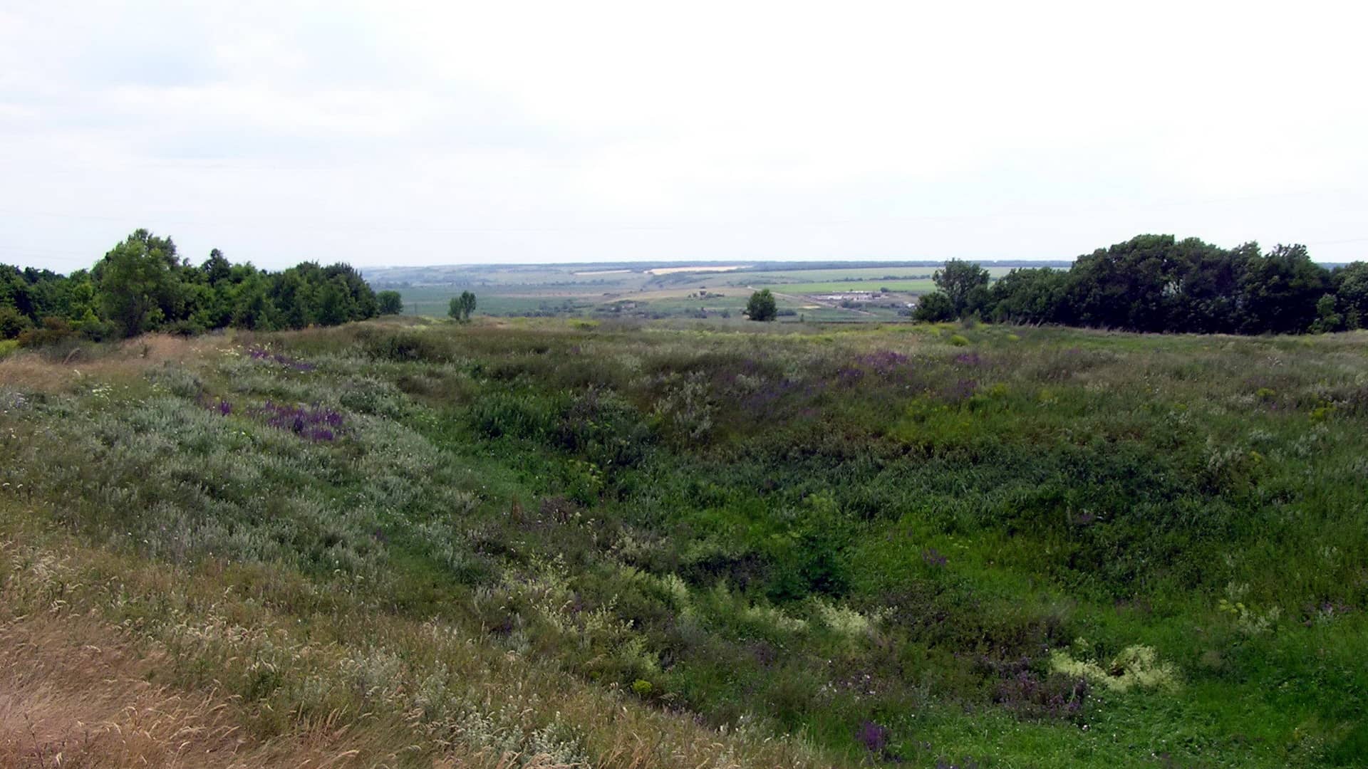 Михайлівська фортеця 2006