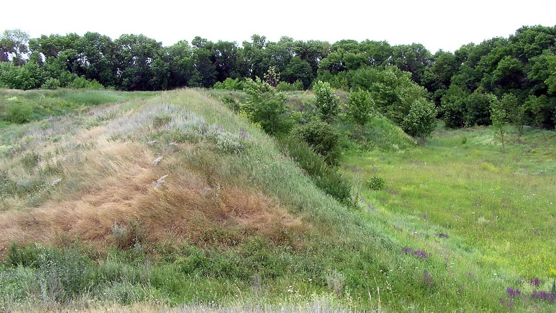 Михайлівська фортеця 2006
