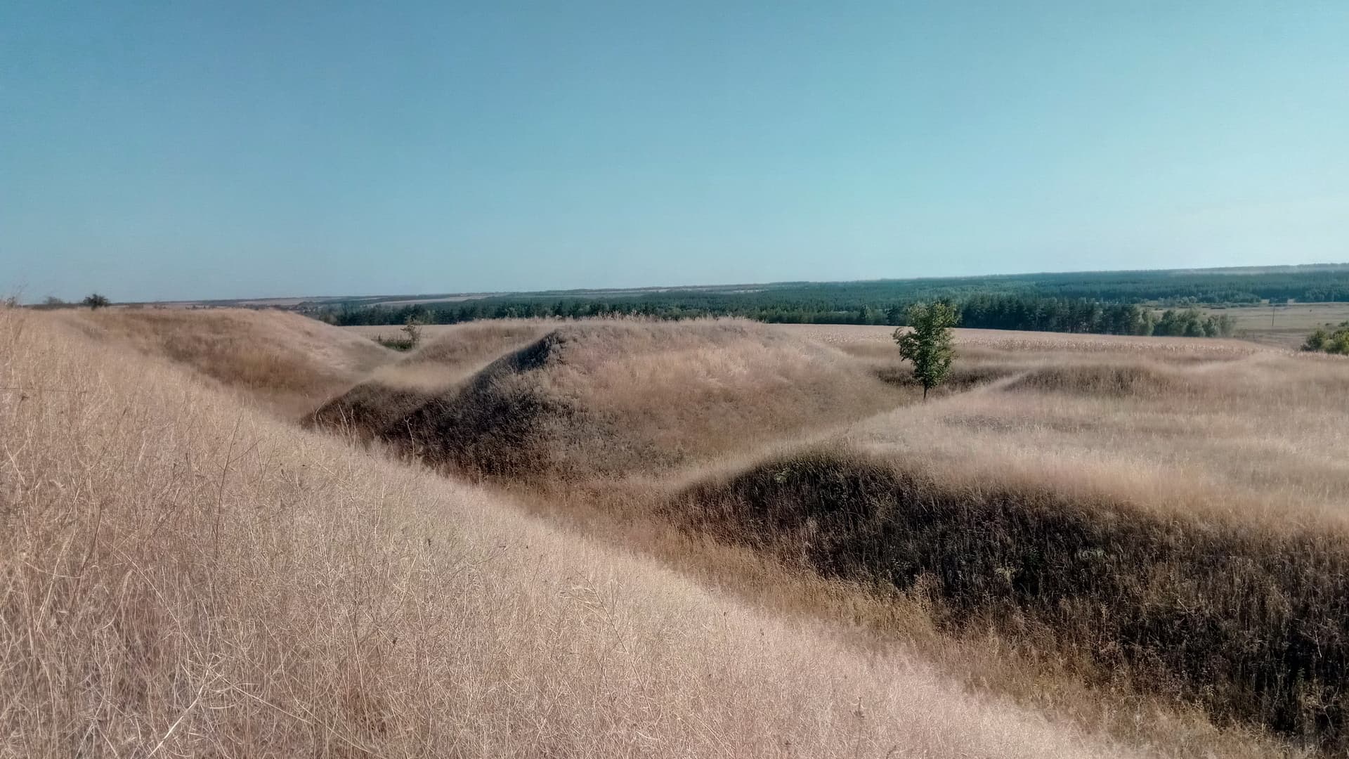 Орловська фортеця 2020