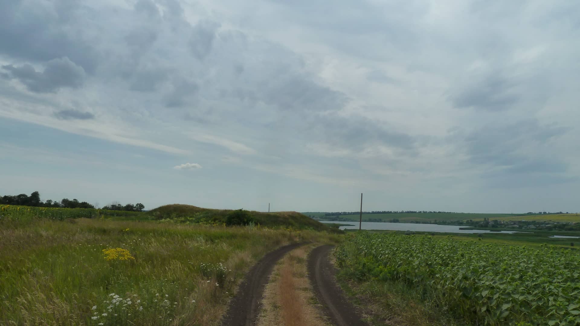 Редут біля Олексіївки